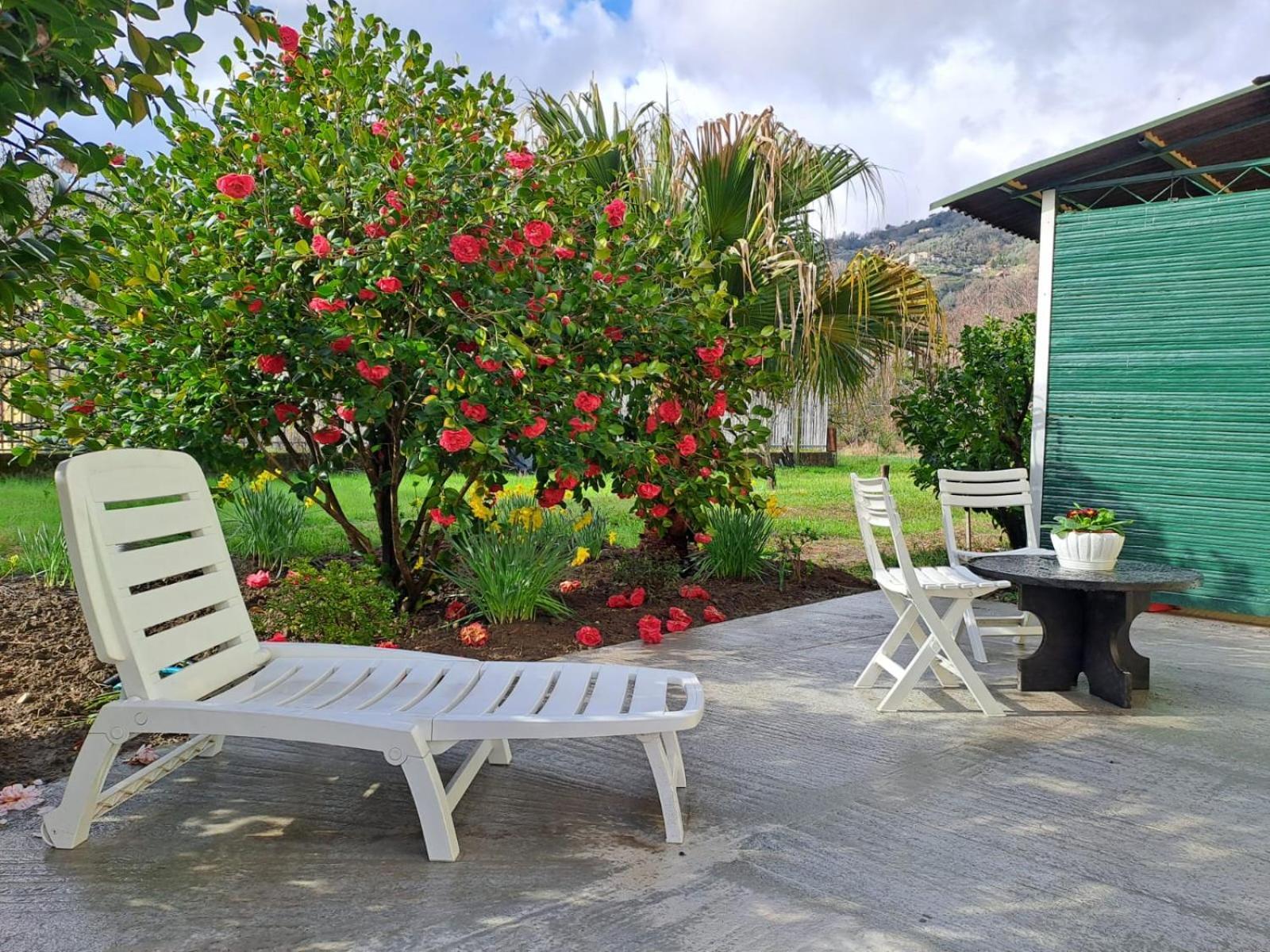 Sunny House Villa Carasco Bagian luar foto